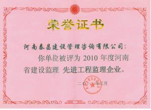 2010年省先進(jìn)監(jiān)理企業(yè)